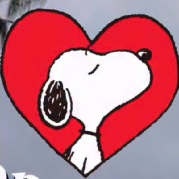 Meet your Posher, Amanda - Picture 3 of 6